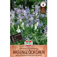 Cibuľky kvetov Španielsky zvonček mix farieb 10 ks Sperli