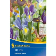   Cibuľky kvetov Iris hollandica, farebná zmes, 10 ks Kiepenkerl