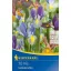Cibuľky kvetov Iris hollandica, farebná zmes, 10 ks Kiepenkerl