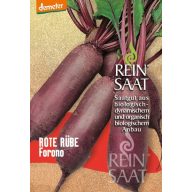 Červená repa bio Forono Rein Saat cca 250 semien