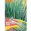 Cibuľa na zväzovanie bio Winter Hedge Cosmo Rein Saat cca 1 g