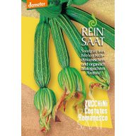 Cuketa bio Costates Romanesco čisté semienka cca 10 ks