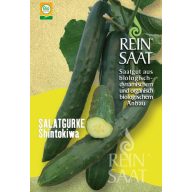 Hadia uhorka bio Shintokiwa Rein Saat cca 25 ks semien