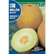 Cantaloupe Galia F1 (zelená dužina) Rocalba 0,5 g