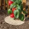 Mulčovanie 100% prírodný Chanvrelin 500 natur priemer 40 cm