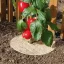 Mulčovanie 100% prírodný Chanvrelin 500 natur priemer 40 cm