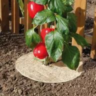   Mulčovanie 100% prírodný Chanvrelin 500 natur priemer 30 cm