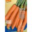 Mrkva organická Rodelika Rein Saat cca 50 semien