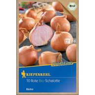 Bio sadivo šalotky Biztro (fialová) Kiepenkerl 10 ks