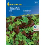   Tear salad Babyleaf Mix (Oaking, Diablotin, Greenet, Cavendish) Kiepenkerl 3 m