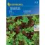 Tear salad Babyleaf Mix (Oaking, Diablotin, Greenet, Cavendish) Kiepenkerl 3 m