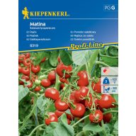 Šalátové paradajky Matina Kiepenkerl cca 35 semien