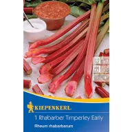 Rebarbora Timperley Early Kiepenkerl 1 rastlina