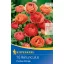 Žiarovky Buttercup Picotee Orange 10 ks