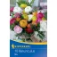 Žiarovka Buttercup mix farieb Kiepenkerl 10 ks