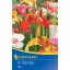 Žiarovky Tiger Flower mix farieb Kiepenkerl 8 ks