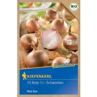 Dughagyma Organické šalotky Red Sun Kiepenkerl 10 ks