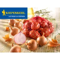 Dughagyma šalotka Red Sun Kiepenkerl 500g