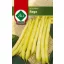 Žltá fazuľa Rege 65g ZKI