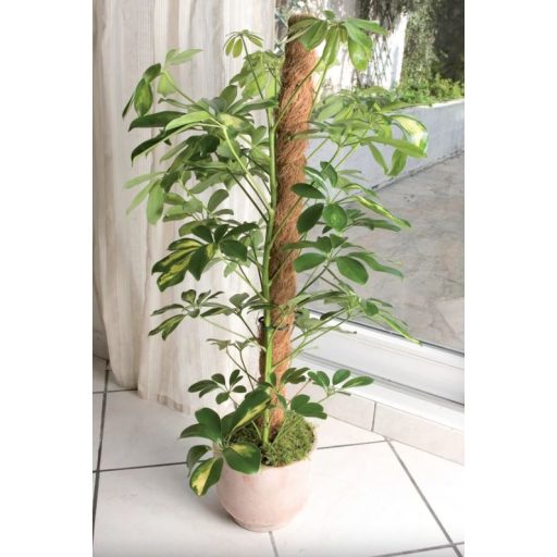 Kokosová opora COCO Ø 45 mm 150 cm