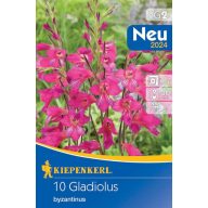   Cibuľa Zimovzdorný mečík (Gladiolus comm.ssp.byzantinus) 10 ks Kiepenkerl