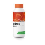Fénix 1 l