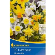   Cibuľové narcisy Miniatúrna zmes (zmes pre skalky) Kiepenkerl 10 ks