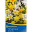 Cibuľové narcisy Miniatúrna zmes (zmes pre skalky) Kiepenkerl 10 ks
