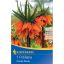 Kvetinová cibuľka Fritillaria (cisárska koruna) Ornage beauty Kiepenkerl 1 ks