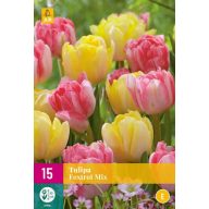 Kvetinové cibuľky Tulipán Foxtrot Mix 15 ks JUB