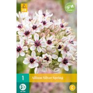 Kvitnúca žiarovka Okrasná žiarovka Silver Spring 1ks JUB