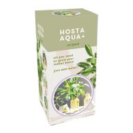 Hosta Aqua-Shade ľalia v kvetináči JUB