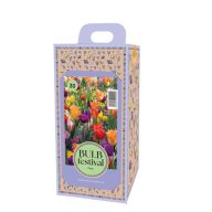 Cibuľky v krabici Tulipánový festival Party 30 kusov JUB