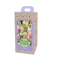 Cibuľky v krabici Tulipán Narodeniny 30 kusov JUB