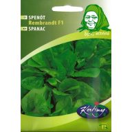 Špenát Rembrandt F1 3g