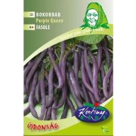 Fazuľa Bokorn fialové struky Purple Queen 50 g