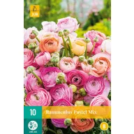 Cibuľový motýľ (Ranunculus) Pastelová zmes 10 ks JUB