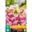 Cibuľový motýľ (Ranunculus) Pastelová zmes 10 ks JUB