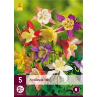 Trvalka Aquilegia Mix (Záhradný zvonček) 5 kusov JUB