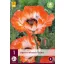 Trvalka Papaver orientale Picotee (mak) 1 kus JUB
