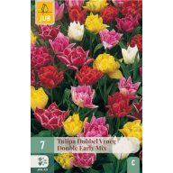 Bulb Tulip Dubbel Vroeg/Dubble Early Mix 7 ks JUB