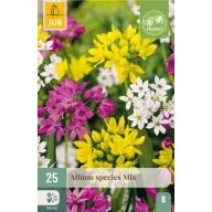 Cibuľa cibuľová okrasná Druhová zmes 25 ks JUB