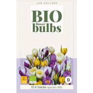 BIO cibuľky krokusov (Crocus sp.) mix 15 ks JUB