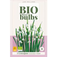  BIO cibuľky letnej snežienky (Leucojum) Gravetye Giant 3 ks JUB
