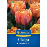 Kvetinová žiarovka Tulipán Orange Princess 5 ks