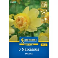 Žiarovka narcis Milena Kiepenkerl 5 ks