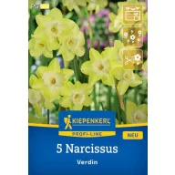 Žiarovka narcis Verdin Kiepenkerl 5 ks