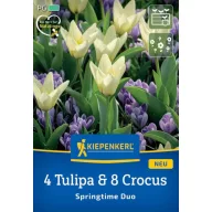   Zmes kvetinových cibuliek 4 tulipány a 8 krokusov Jarné duo Kiepenkerl 12 ks
