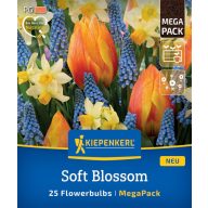   Žiarovka Tulipán-Tulipánová zmes Soft Blossom Megapack Kiepenkerl 25 ks