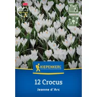   Kvetinové cibule Coconut Jeanne d'Arc Kiepenkerl 12 kusov